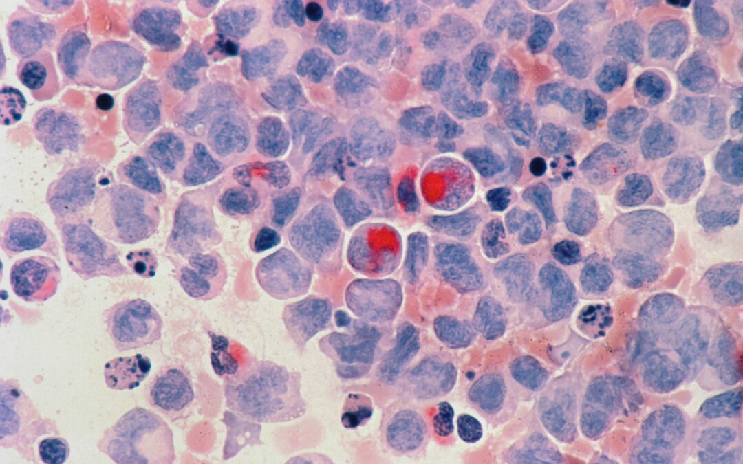 1, 2, 3… cellula!